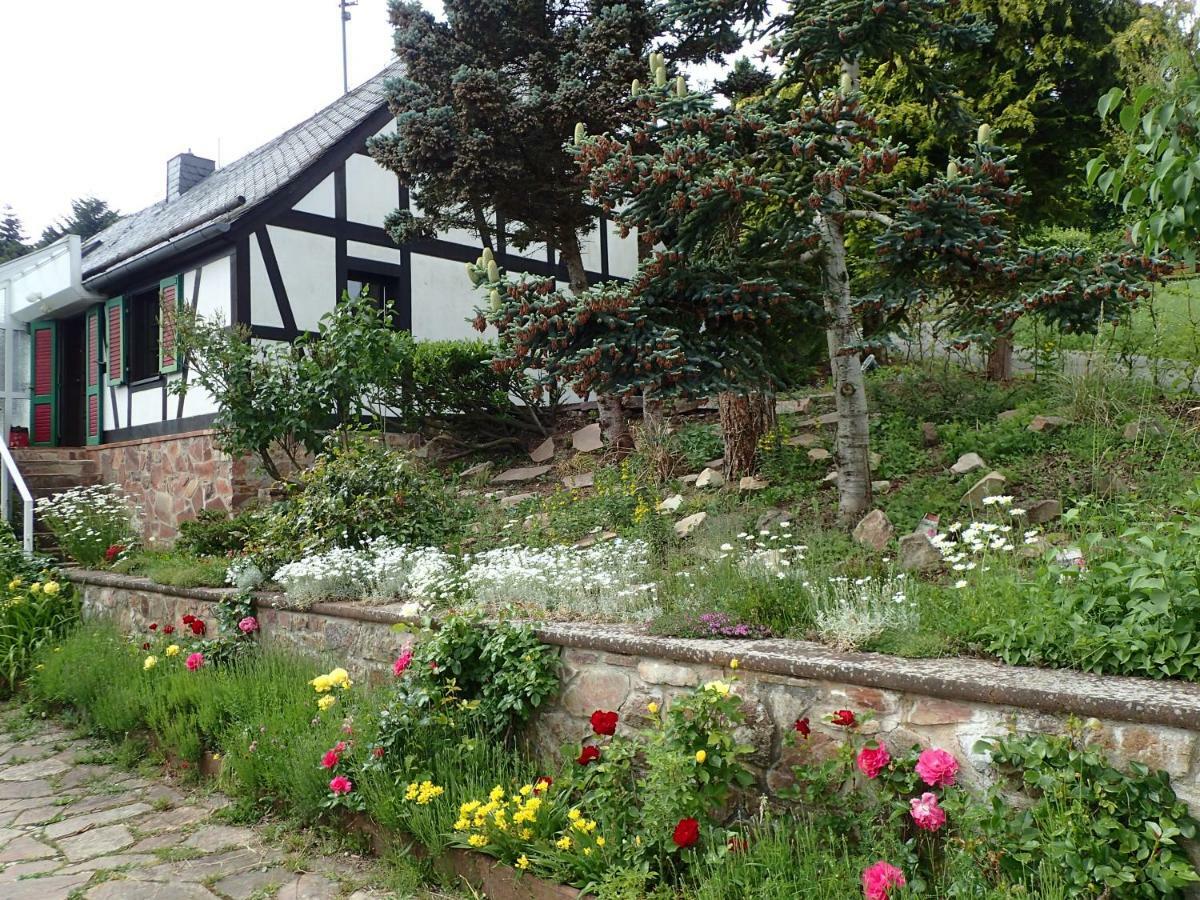 Vakantiehuis Hunsrueck Leisel Exterior photo